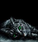 Прикрепленное изображение: krJai-HQ5vM.jpg