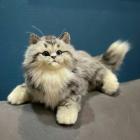 Прикрепленное изображение: bqbVA5z0YXU.jpg