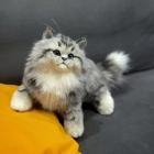 Прикрепленное изображение: YbH84tKRd40.jpg