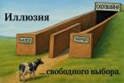 Прикрепленное изображение: Иллюзия свободного выбора.jpg