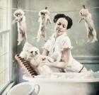 Прикрепленное изображение: ________232480.jpg