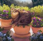 Прикрепленное изображение: 0_7_Y2fX4Xw.jpg