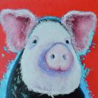 Прикрепленное изображение: pedro-pig-jan-matson.jpg