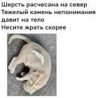 Прикрепленное изображение: Хокку 2.jpg