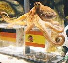 Прикрепленное изображение: ________________________________.jpg