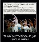 Прикрепленное изображение: image.jpg