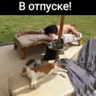 Прикрепленное изображение: 1722107439.jpg