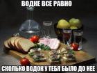 Прикрепленное изображение: Водке все равно.jpg
