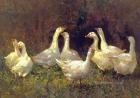 Прикрепленное изображение: Floral Dance geese Painting.jpg