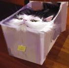 Прикрепленное изображение: IMG_20250718_150440.jpg