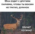 Прикрепленное изображение: Звучит логично.jpg