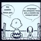 Прикрепленное изображение: Z6fvU4YmQS4.jpg