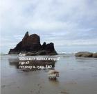 Прикрепленное изображение: Почему я ёж.jpg