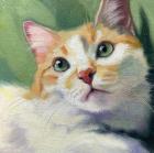 Прикрепленное изображение: HQKpjYFL3HE2Mf4.jpg