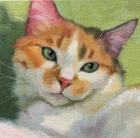 Прикрепленное изображение: 2Vib8pCMa0J_AVJ7.jpg