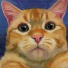 Прикрепленное изображение: TBJJyKMitFW2.jpg