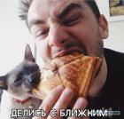 Прикрепленное изображение: Котик требует делиться.jpg