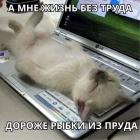 Прикрепленное изображение: Жизнь без труда.jpg