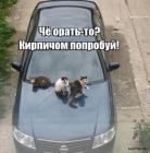 Прикрепленное изображение: 1725784261.jpg