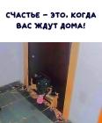 Прикрепленное изображение: Счастье.jpg