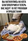 Прикрепленное изображение: Кот благополучия.jpg