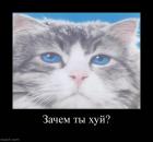 Прикрепленное изображение: 1473305926342_big.jpg