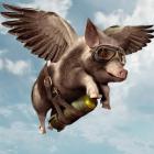 Прикрепленное изображение: 1663004465_20-krasivosti-pro-p-svini-s-krilyami-oboi-39.jpg