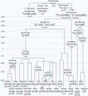 Прикрепленное изображение: Пизда.jpg