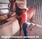Прикрепленное изображение: Бедная лошадка.jpg