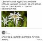 Прикрепленное изображение: 1728981980.jpg