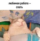 Прикрепленное изображение: 07.jpg