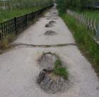 Прикрепленное изображение: Суровые челябинские кроты.jpg