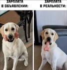 Прикрепленное изображение: YSf2sq9Xdyo.jpg