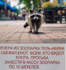 Прикрепленное изображение: 1764256530.jpg