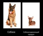 Прикрепленное изображение: Собакосодержащий продукт.jpg