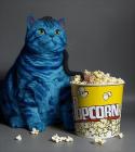 Прикрепленное изображение: СинийКот.jpg