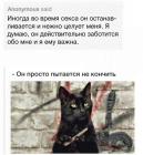 Прикрепленное изображение: image.jpeg