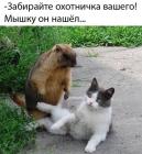 Прикрепленное изображение: 1732699316.jpg