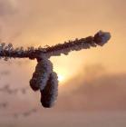 Прикрепленное изображение: 468466518_8896894180424504_913165194074756872_n.jpg