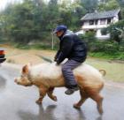 Прикрепленное изображение: JIYKMBCEDJ0.jpg