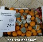 Прикрепленное изображение: 468185027_625361209821216_4104875585982441915_n.jpg