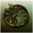 Прикрепленное изображение: стомат.jpg