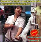 Прикрепленное изображение: 41104.jpg