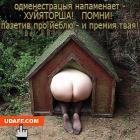 Прикрепленное изображение: 54271.jpg