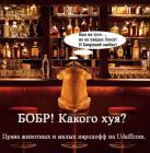 Прикрепленное изображение: 55375.jpg